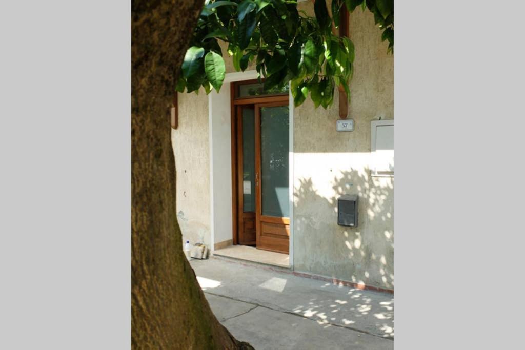 La Casina Di Bruna Mommio Εξωτερικό φωτογραφία