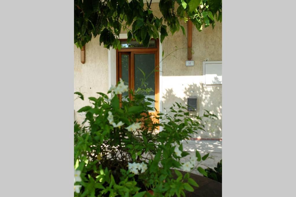 La Casina Di Bruna Mommio Εξωτερικό φωτογραφία