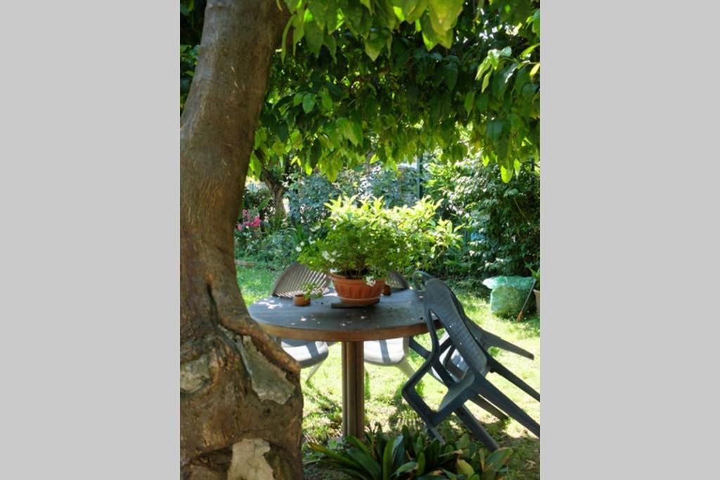 La Casina Di Bruna Mommio Εξωτερικό φωτογραφία