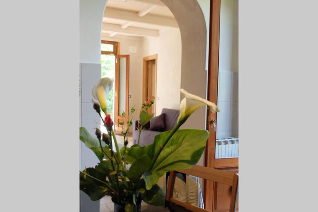 La Casina Di Bruna Mommio Εξωτερικό φωτογραφία